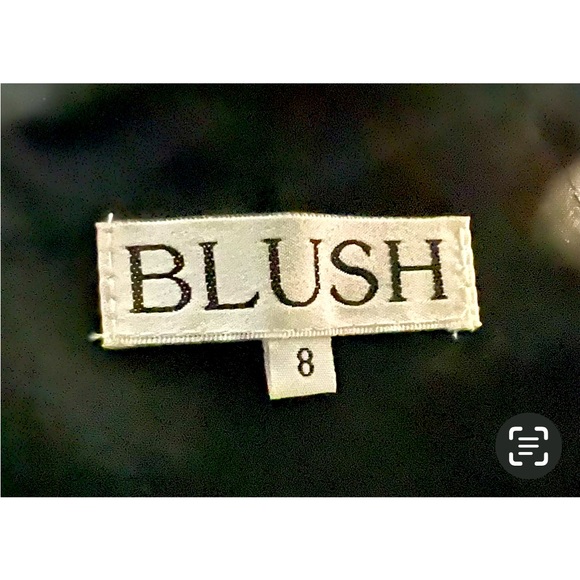 Blush 2 piece gown. Grad. Prom. Performance.Size 8. Black with red rose design - Picture 4 of 10